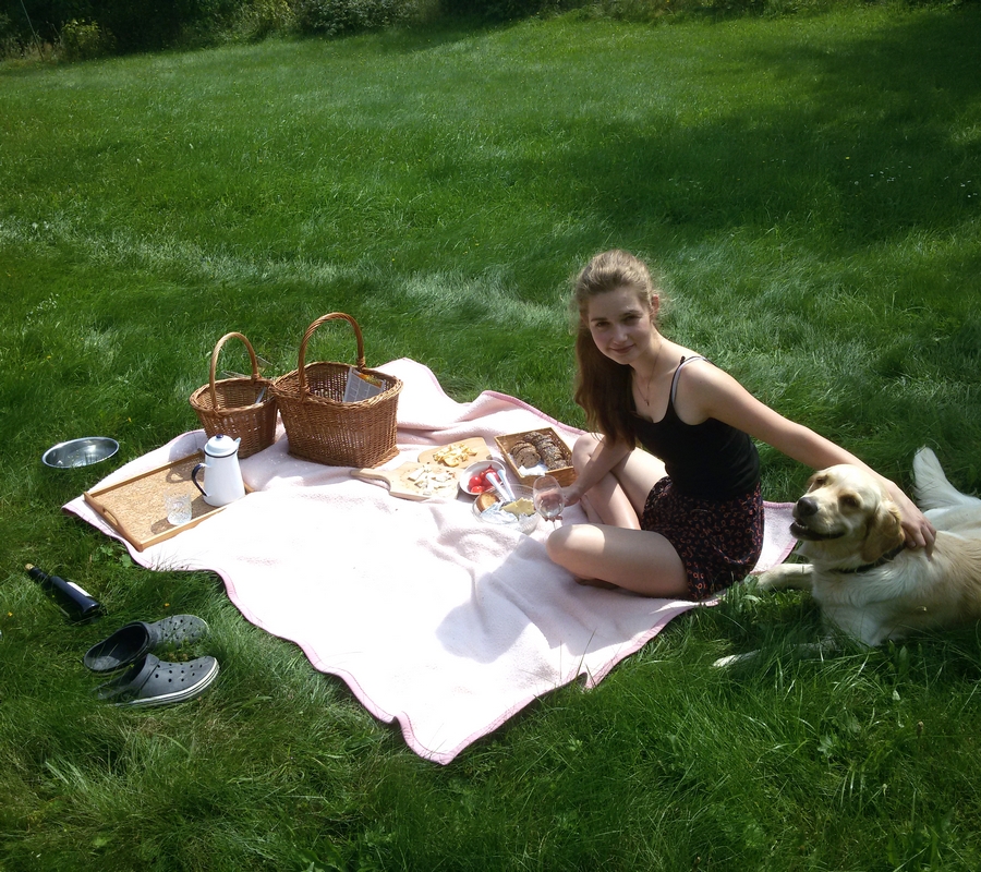 Piknik na louce, růžová deka, pes, zlatý retrívr,proutěné koše, jídlo.