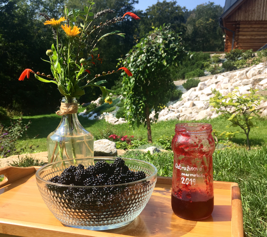 Černé ostružiny ve skleněné míse, rudá marmeláda ve skleniny, květiny, vše položené na dřevěném tácu na zahradě.